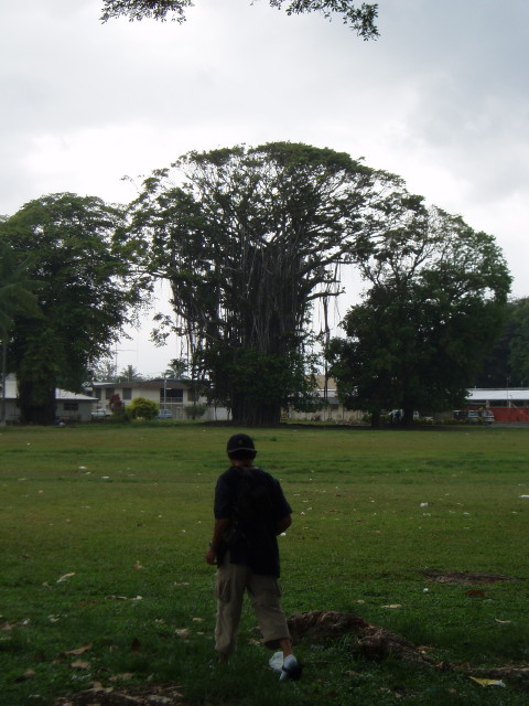 img0015.jpg
