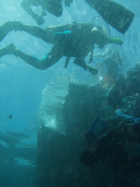 img0031.jpg