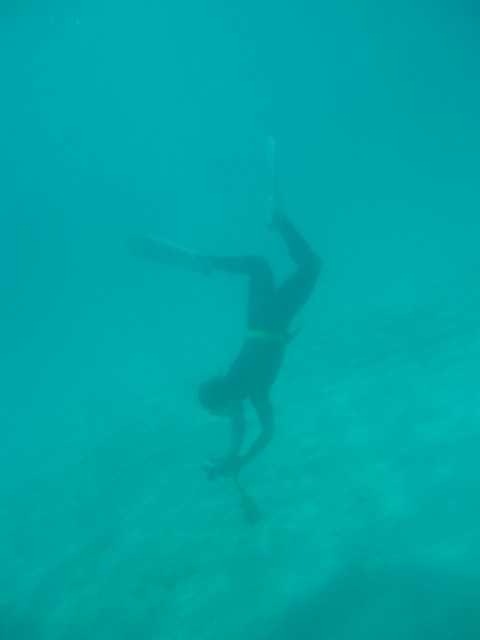 img0034.jpg