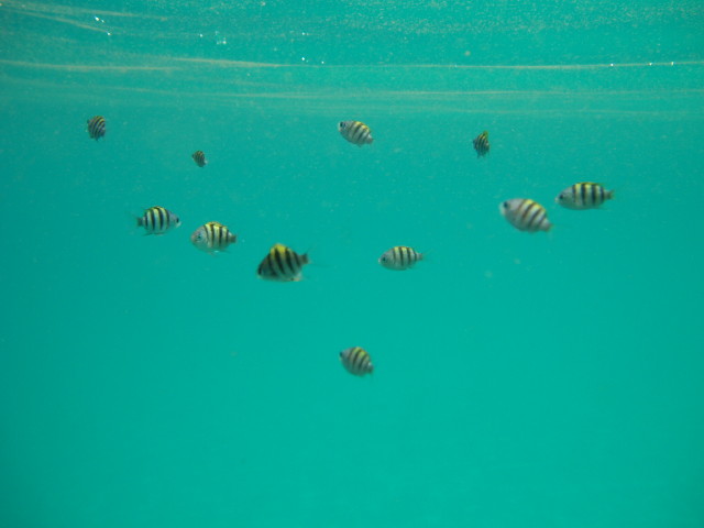 img0035.jpg