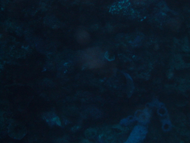 img0147.jpg