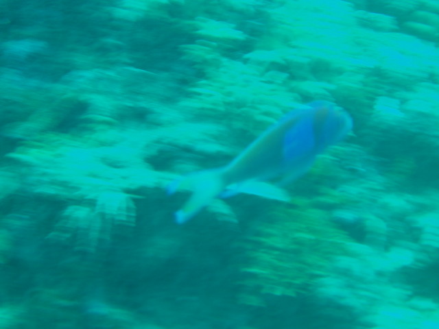 img0222.jpg