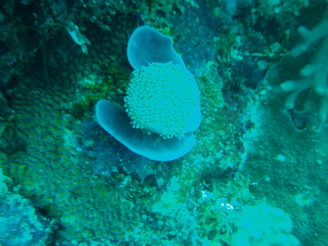 img0231.jpg